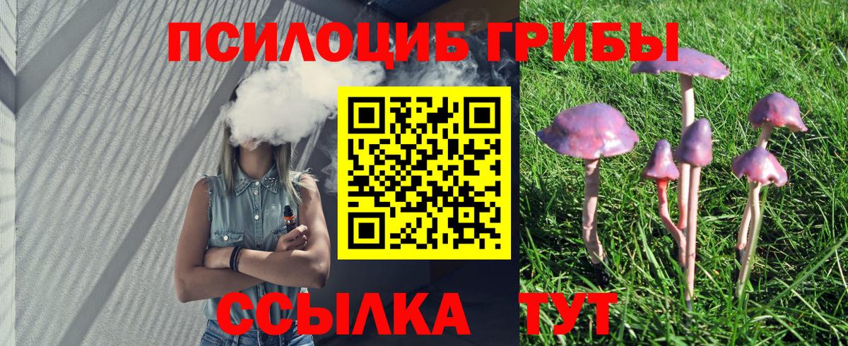 Галлюциногенные грибы ЛСД Мыски