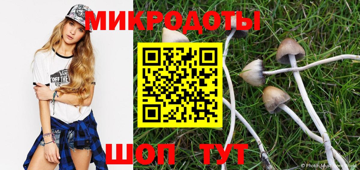 Галлюциногенные грибы Cubensis  Вход с VPN  Мыски 